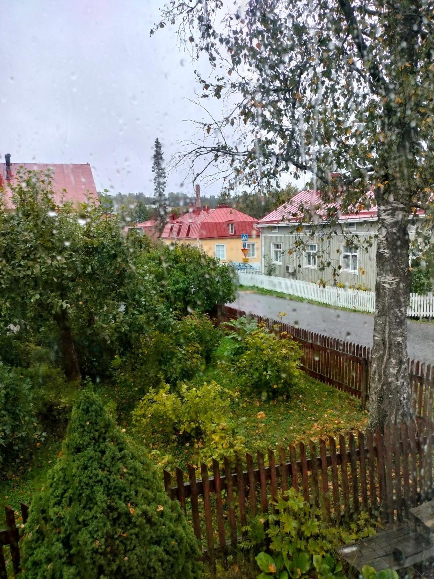 Viinikan Taehti Lemmikkiystaevaellinen Kotimajoitus Tampere Esterno foto