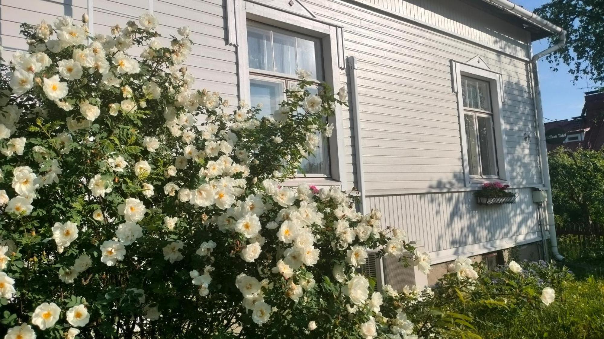 Viinikan Taehti Lemmikkiystaevaellinen Kotimajoitus Tampere Esterno foto