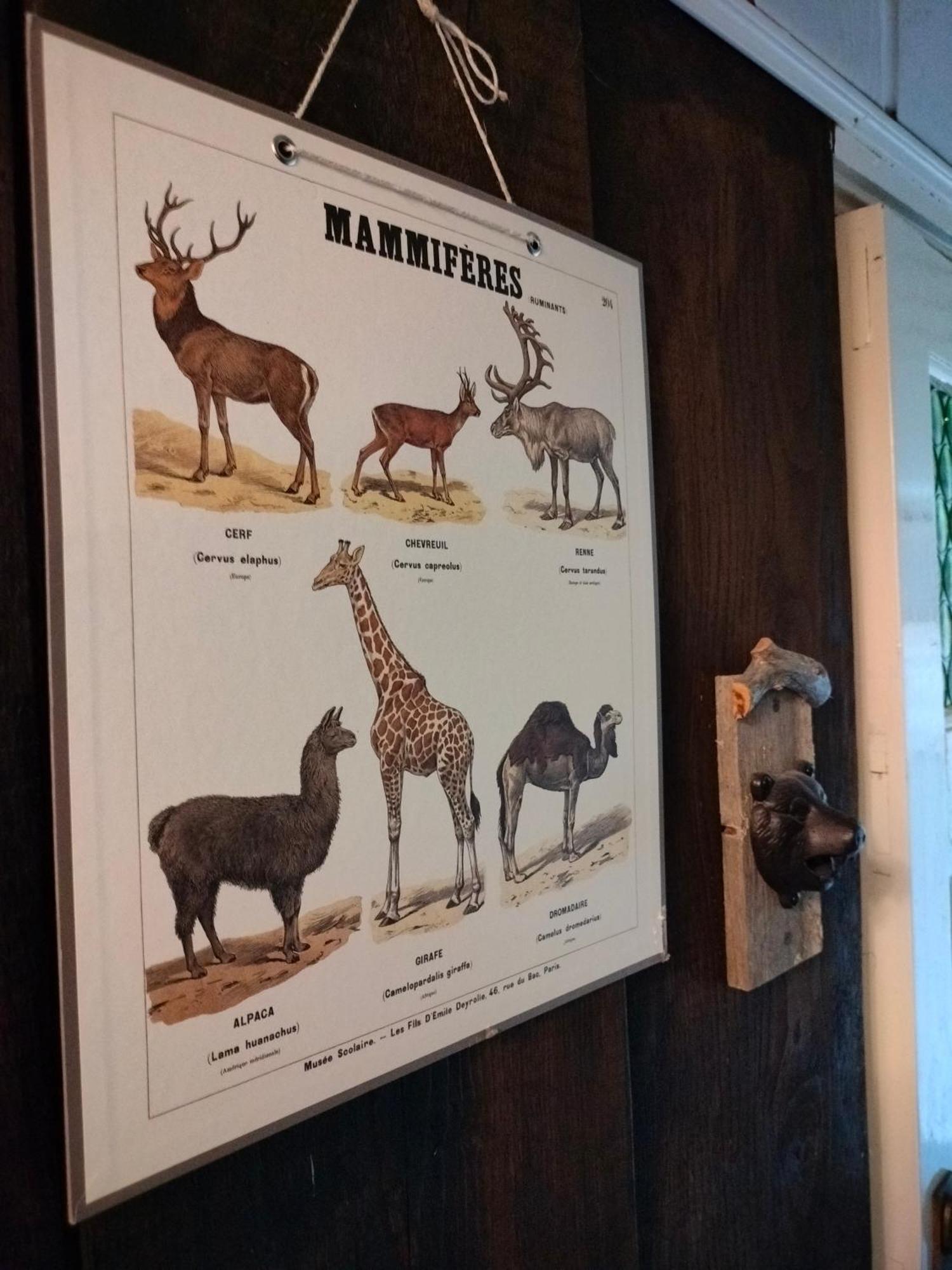 Viinikan Taehti Lemmikkiystaevaellinen Kotimajoitus Tampere Esterno foto