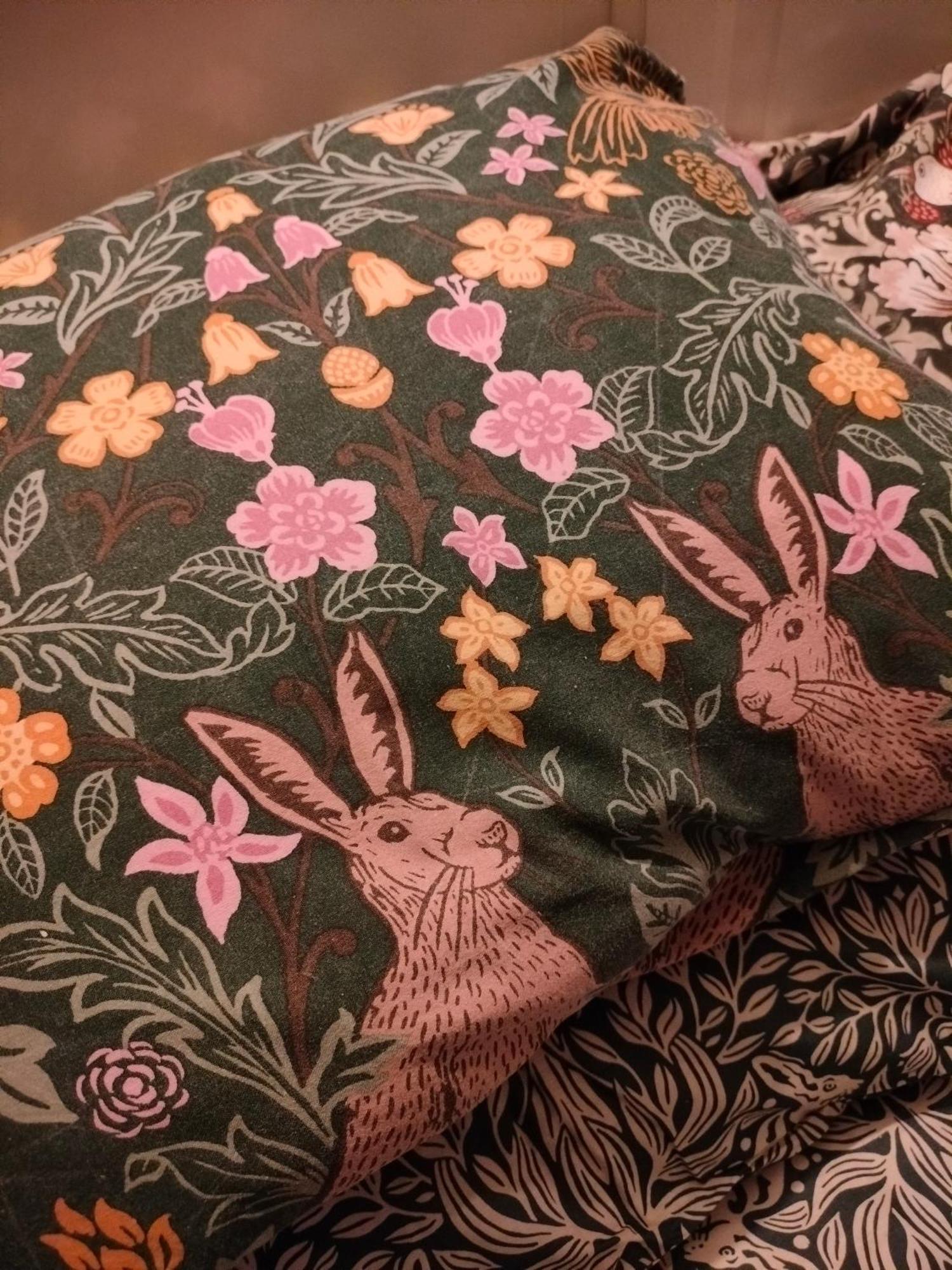 Viinikan Taehti Lemmikkiystaevaellinen Kotimajoitus Tampere Esterno foto