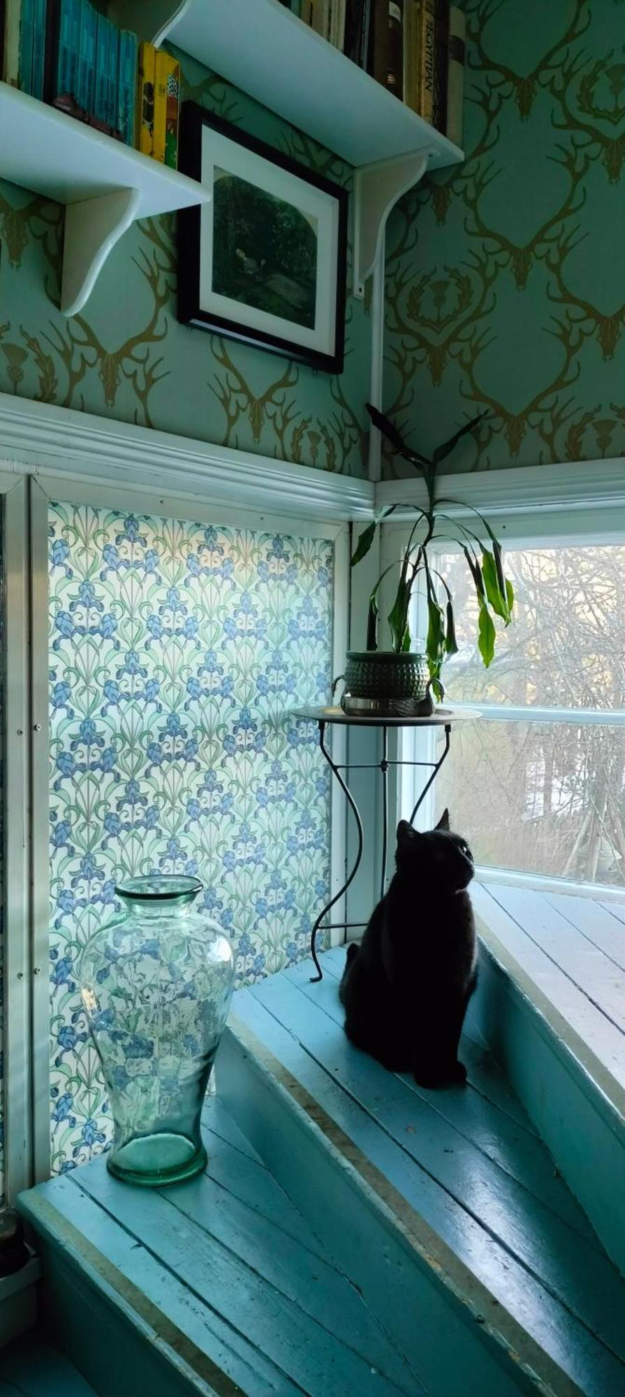 Viinikan Taehti Lemmikkiystaevaellinen Kotimajoitus Tampere Esterno foto