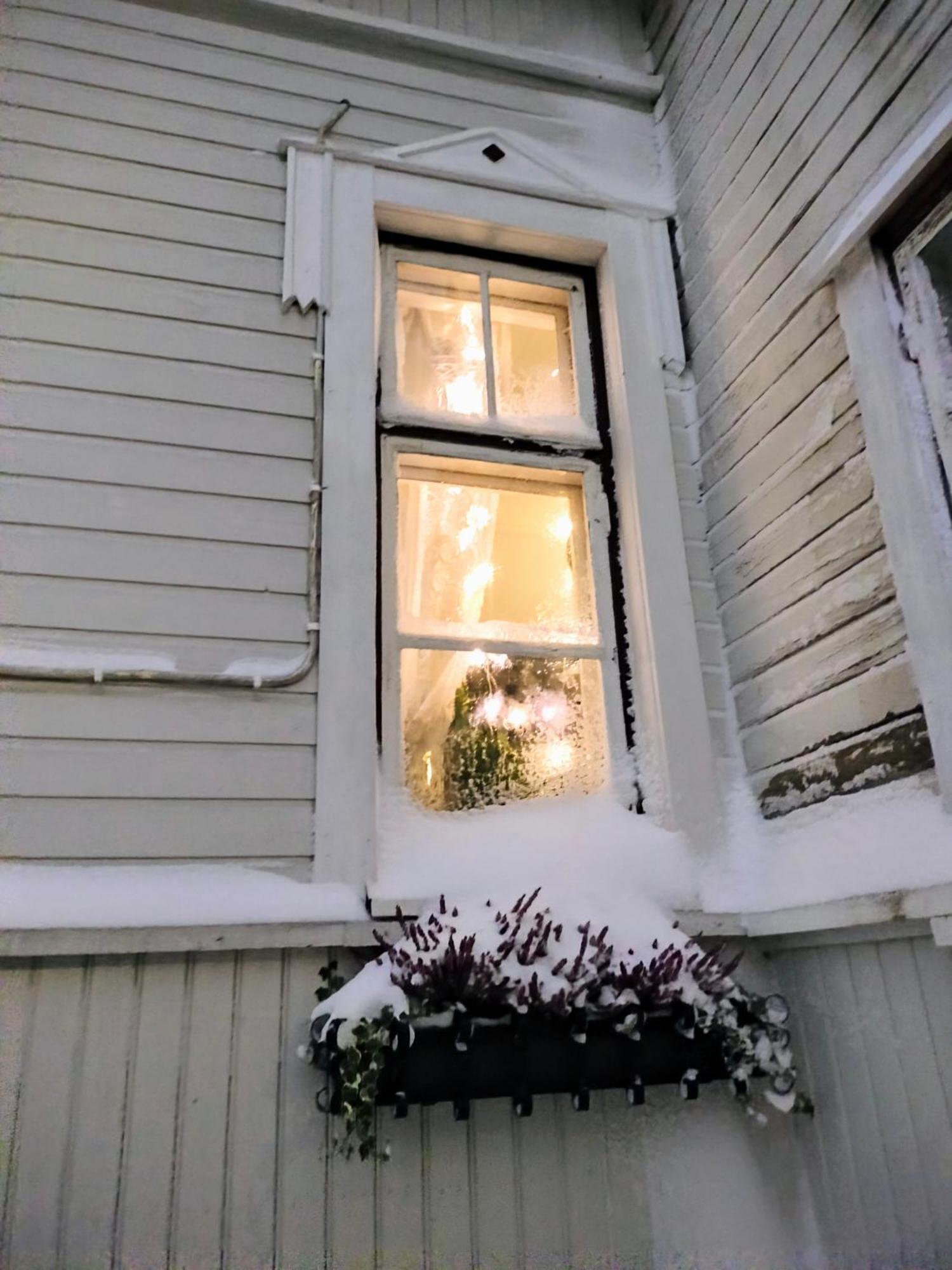 Viinikan Taehti Lemmikkiystaevaellinen Kotimajoitus Tampere Esterno foto